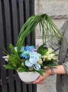 Композиция в кашпо «Зеленая волна »