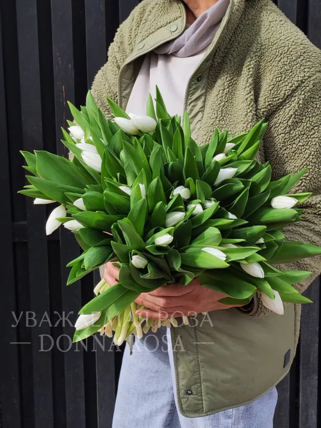Тюльпаны белые (1шт)