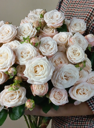 Монобукет из кустовой розы &laquo;Нежное облако роз&raquo; от интернет-магазина цветов в 