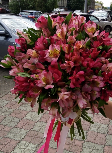 Монобукет из альстромерии &laquo;Перуанская грация&raquo; от интернет-магазина цветов в 