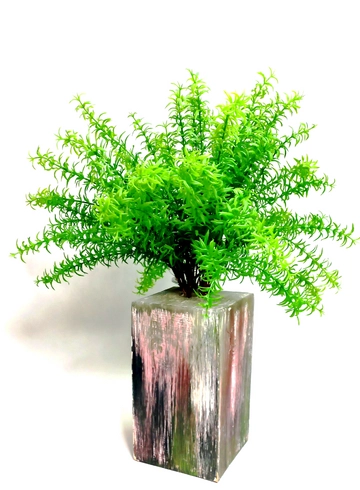 Аспарагус на бревне от интернет-магазина цветов в 