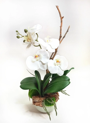 Композиция с орхидеей от интернет-магазина цветов в 