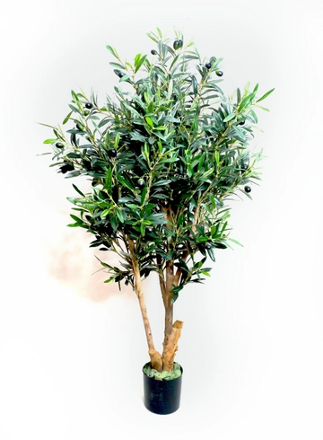 Оливка большая от интернет-магазина цветов в 