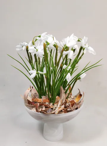 Композиция с подснежниками большая 40х23 от интернет-магазина цветов в 