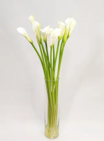 Калла от интернет-магазина цветов в 