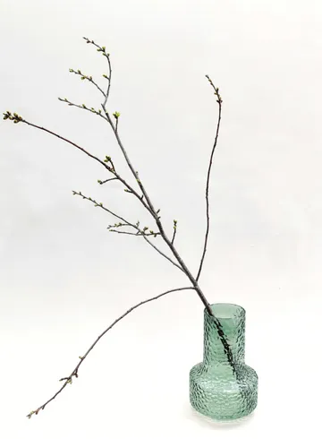 Ветка Алычи от интернет-магазина цветов в 