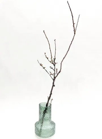 Ветка Миндаля  от интернет-магазина цветов в 