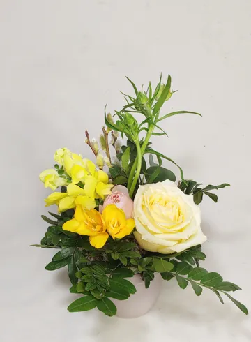 Композиция в кашпо &laquo;Желтый всплеск&raquo; от интернет-магазина цветов в 