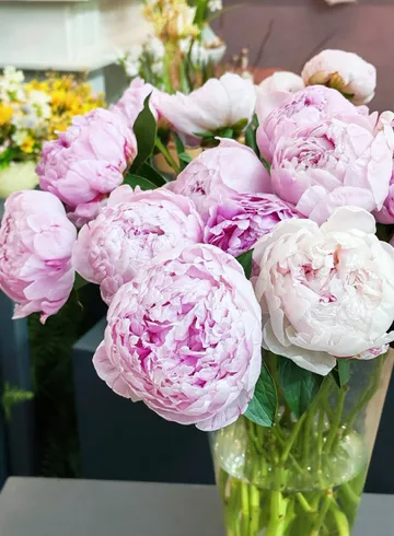 Букет из пионов от интернет-магазина цветов в 